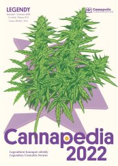 Cannapedia Calendário 2022 - Lendário cepas de cannabis + 2x semente (TH Seeds Seedstockers)