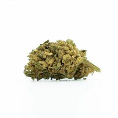 HHC Kvet Tropický Kush 10 %, 100g - 500g - 1000g