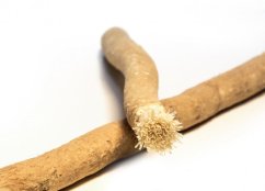 SIWAK Naturlig tandborste Naturlig utan fodral