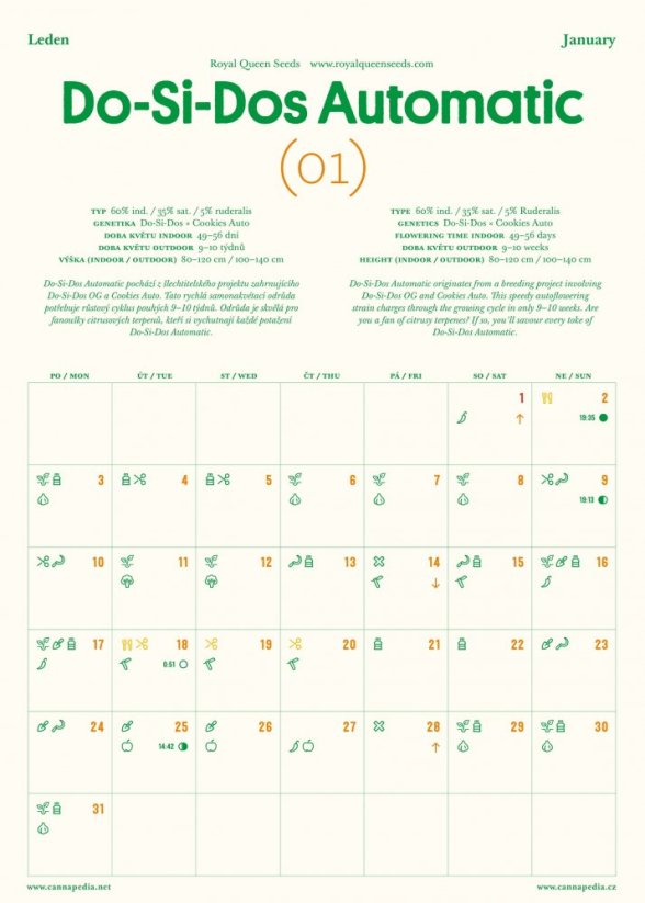 Cannapedia Календар 2022 - Автоцвітіння штами коноплі + 2x насіння (Green House Seeds і Seedstockers)