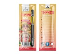 CanaPuff THP420 kynä + patruuna GSC, THP420 79 %, 1 ml