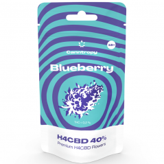 Canntropy H4CBD Flower Blueberry 40 %, 1 g - 100 g