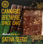 Cannabis Sativa Seeds Brownie Deluxe Packing (Sabor Médio Sativa) - Caixa (24 pacotes)