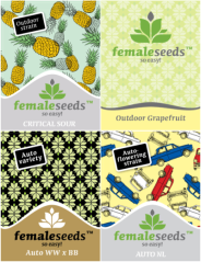 ROOTS - Roční předplatné (12 čísel) + 10 feminizovaných semínek od Female Seeds