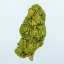 Happease CBD Blume Gelato - 2 Gramm