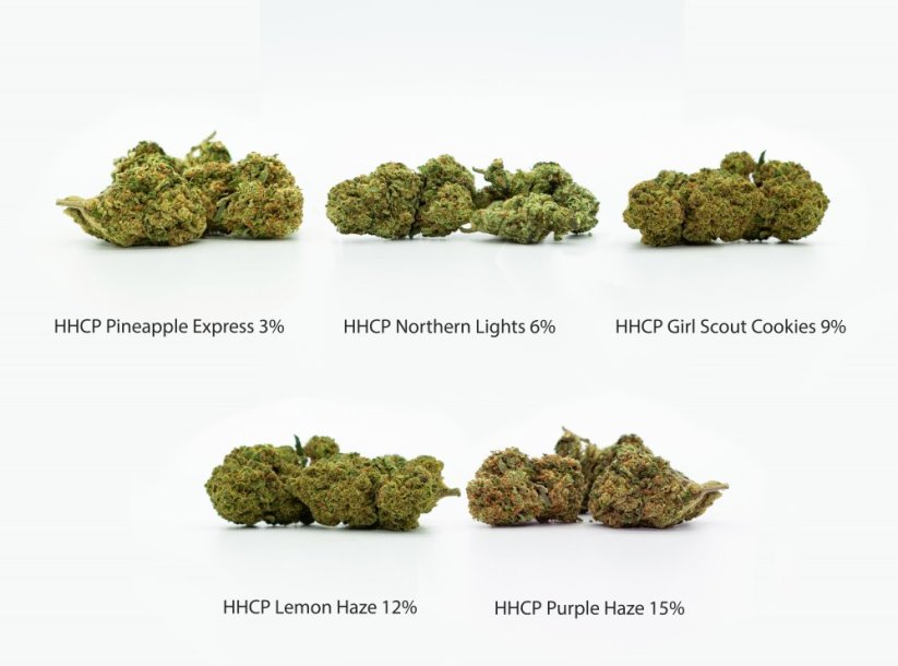 HHCP Flowers näytepakkaus - Pineapple Express 3%, Northern Lights 6%, Girl Scout Cookies 9%, Lemon Haze 12%, Purple Haze 15%, 5 x 1 g