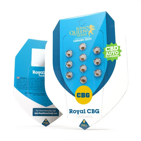 Royal Queen Seeds Cannabis Seeds Royal CBG Auto (High CBD)