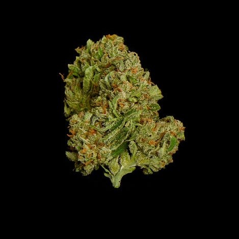 Royal Queen Seeds Kanepiseemned Epsilon F1 Auto