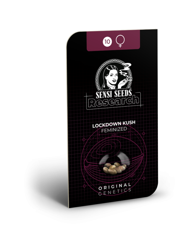 Sensi Seeds Semi di Cannabis Lockdown Kush Femminizzati, 3-10 pz