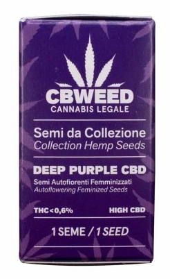 Cbweed Deep Purple CBD - 1x Autoflowering Feminiserat frö