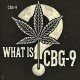 White text: What is CBG9 on a black background, a cannabis leaf and a white question mark behind it