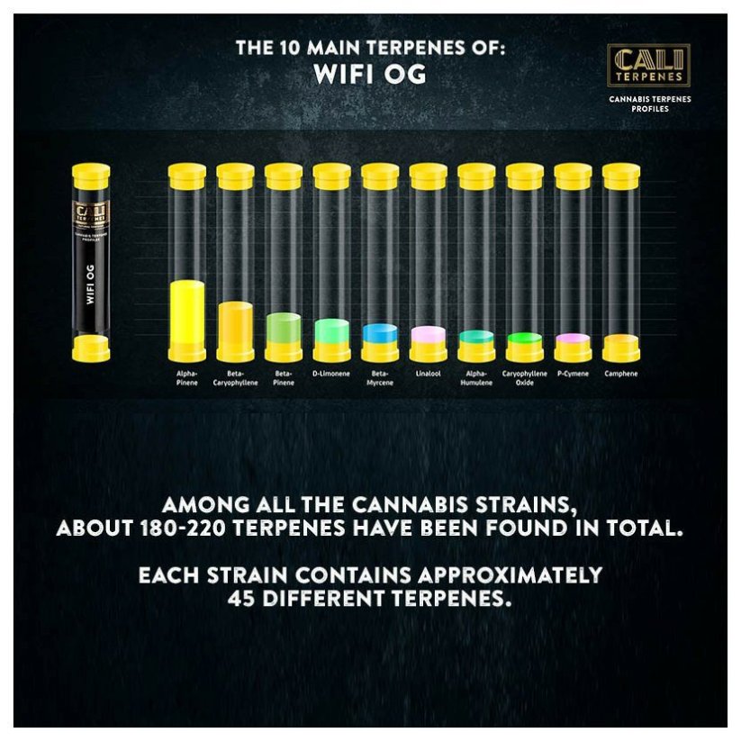 Cali Terpenes - WIFI OG, (1 ml)