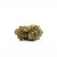 Canalogy HHC blomma Kunglig Skunk 30 %, 1g - 1000g