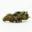 CBD კანაფის ყვავილი Fire Kush, 13% CBD, 0.2% THC (3გ-100გრ)