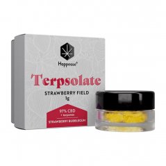 Happease - Extract Strawberry Field Terpsolate, 97% CBD, 1g