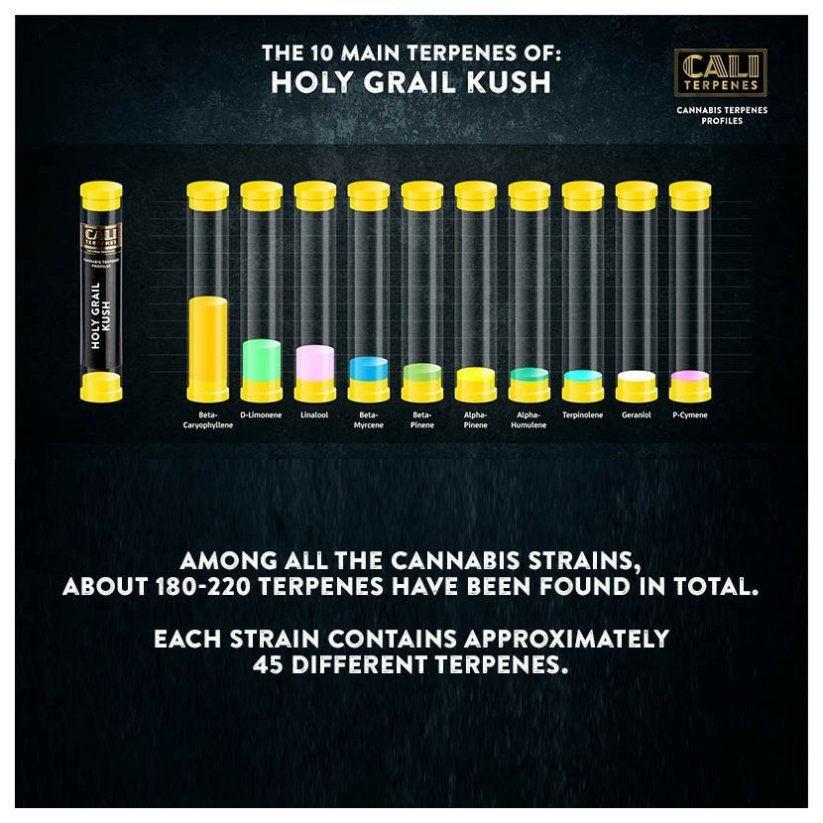 Cali Terpenes - ŚWIĘTY GRAIL KUSH, 1 ml