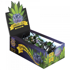 Cannabis Blueberry Haze Lollies – Χαρτοκιβώτιο προβολής (70 γλειφιτζούρια)