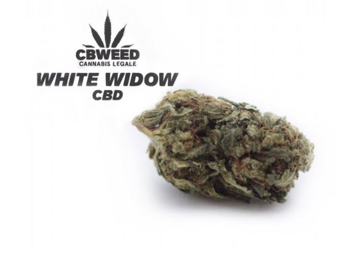 Cbweed White Widow CBD Flower - від 2 до 5 грамів