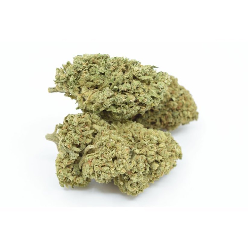 HHC Flower Tropical Kush 10%, 100g - 500g - 1000g