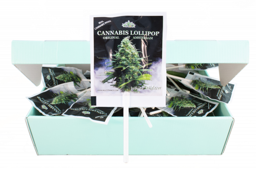 HaZe Cannabis White Widow Lollipops – vitrína (100 lízaniek)