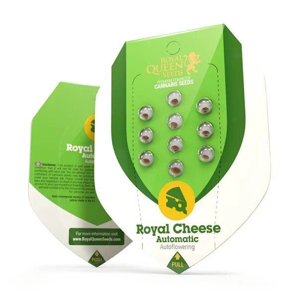 Royal Queen Seeds Konopljina semena Royal Cheese Auto