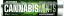 Kannabis Dextrose Mint Roll – Skjárílát (48 Rolls)