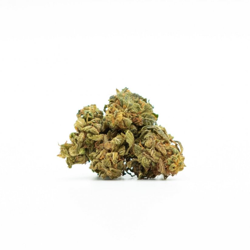 Canalogy HHC flower Amnesia Haze 20 %, 1g - 1000g