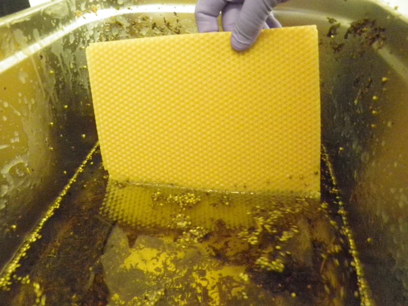 Canabis Product Pommade de chanvre à la cire d'abeille 25ml