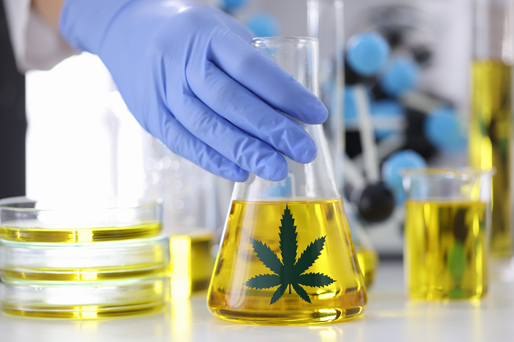 Una mano con un guante de goma muestra un matraz de vidrio con destilado de cannabis